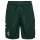 hummel SV Werder Bremen Shorts Away 26/27 Herren - grün/weiß