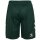 hummel SV Werder Bremen Shorts Away 26/27 Herren - grün/weiß