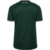 hummel SV Werder Bremen Trikot Away 26/27 Herren - grün