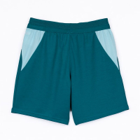 Puma Borussia Mönchengladbach 3rd Shorts 26/27...