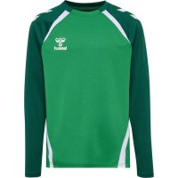 hummel Lead 2.0 Crew Sweatshirt Kinder - jelly bean/evergreen