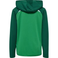 hummel Lead 2.0 Zip Hoodie Kinder - jelly bean/evergreen