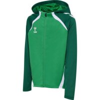 hummel Lead 2.0 Zip Hoodie Kinder - jelly bean/evergreen