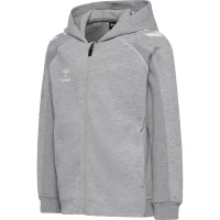 hummel Move 2.0 Zip Hoodie Kinder - grey melange