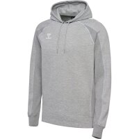 hummel Move 2.0 Hoodie - grey melange