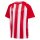 hummel Match Striped S/S Trikot Kinder - true red/white