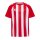 hummel Match Striped S/S Trikot Kinder - true red/white