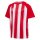 hummel Match Striped S/S Trikot Kinder - true red/white