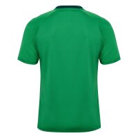 hummel Match Triumph S/S Trikot - jelly bean/botanical...