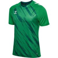 hummel Match Triumph S/S Trikot - jelly bean/botanical garden