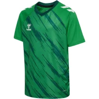 hummel Match Triumph S/S Trikot Kinder - jelly...