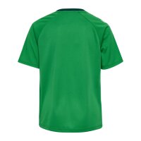 hummel Match Triumph S/S Trikot Kinder - jelly...