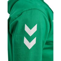 hummel GO 2.0 Chevron Zip Hoodie Herren - jelly bean