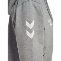 hummel GO 2.0 Chevron Zip Hoodie Damen - grey melange
