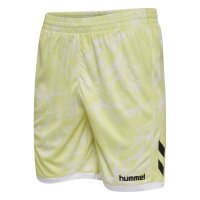 hummel Blaze Club 26 Graphic Set - asian pear/white