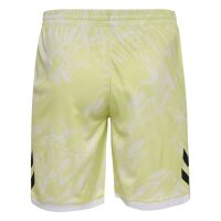 hummel Blaze Club 26 Graphic Set - asian pear/white