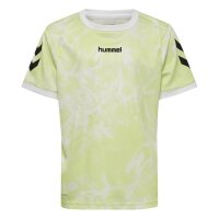 hummel Blaze Club 26 Graphic Set Kinder - asian pear/white