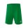 Erima RIO 2.0 Shorts Herren - smaragd