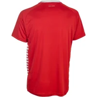 Derbystar Trainingsshirt - rot/weiß