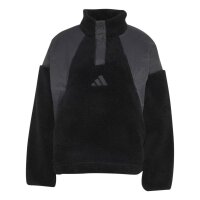 adidas Terrex Xploric Climawarm Pullover Damen -...