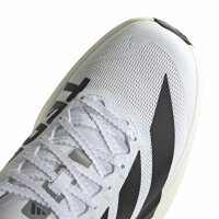 adidas Terrex Agravic SL Laufschuhe Herren - ftwwht/cblack/ftwwht