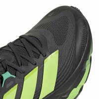 adidas Adistar 5 Laufschuhe Herren - carbon/siggnr/hiregr