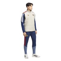 adidas FC Bayern Winvst Weste Herren - aluminium/nindig