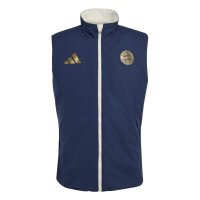 adidas FC Bayern Winvst Weste Herren - aluminium/nindig