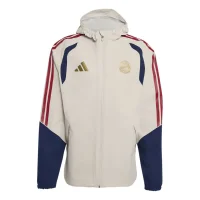 adidas FC Bayern Rain Jacken Herren - aluminium/nindig