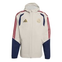 adidas FC Bayern Rain Jacken Herren - aluminium/nindig