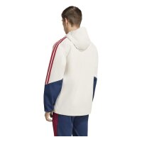 adidas FC Bayern Rain Jacken Herren - aluminium/nindig