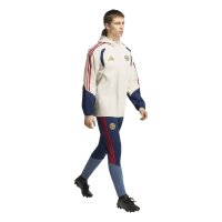 adidas FC Bayern Rain Jacken Herren - aluminium/nindig
