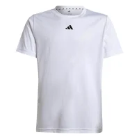 adidas Train Essentials Logo Regular Fit T-Shirt Kinder -...