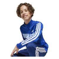 adidas Seasonal Essentials Tiberio 3 Stripes Tricot Trainingsanzug Kinder - royblu/white/globlu