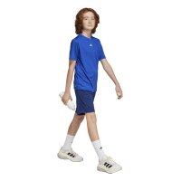 adidas Train Essentials Logo Regular Fit T-Shirt Kinder - royblu/white
