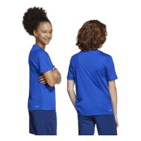 adidas Train Essentials Logo Regular Fit T-Shirt Kinder - royblu/white