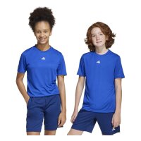 adidas Train Essentials Logo Regular Fit T-Shirt Kinder - royblu/white