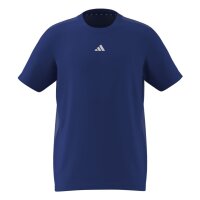 adidas Train Essentials Logo Regular Fit T-Shirt Kinder - royblu/white