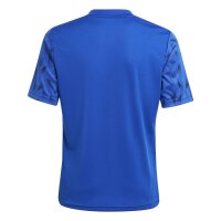 adidas Team Icon25 Short Trikot Kinder - royblu/white