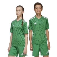 adidas Team Icon25 Short Trikot Kinder - teagrn/white