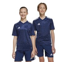 adidas Team Icon25 Short Trikot Kinder - tenabl/white