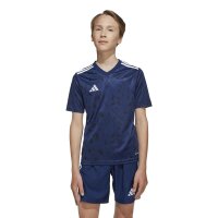 adidas Team Icon25 Short Trikot Kinder - tenabl/white