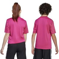 adidas Team Icon25 Short Trikot Kinder - terema/black