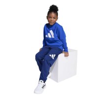 adidas Essentials Trainingshose Kinder - royblu/white
