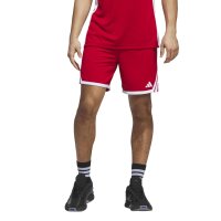 adidas Everyday Pro Bball kurze Hose Herren - tmpwrd/white