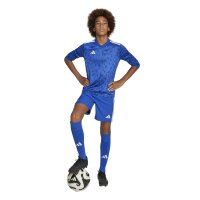 adidas Team Icon25 Trikot Kinder - royblu/white