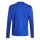 adidas Team Icon25 Trikot Kinder - royblu/white