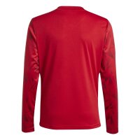 adidas Team Icon 25 Trikot Kinder - tepore/white