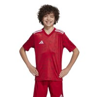 adidas Team Icon 25 Short Trikot Kinder - tepore/white