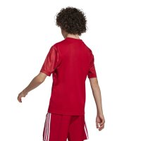 adidas Team Icon 25 Short Trikot Kinder - tepore/white